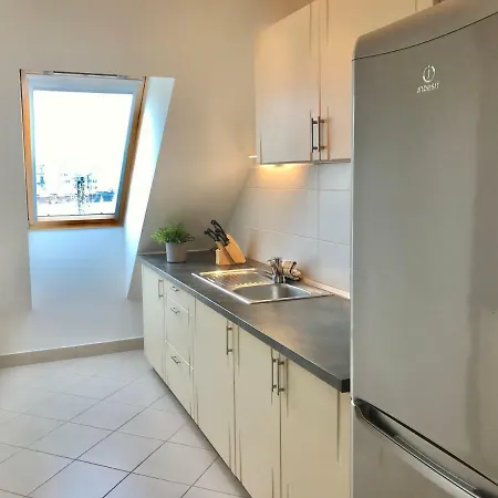 Party Zone Spacious Apt W Rooftop&geoterm A C 公寓 *