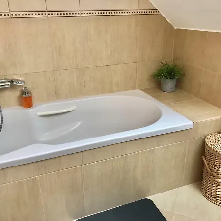 Party Zone Spacious Apt W Rooftop&geoterm A C 公寓 *