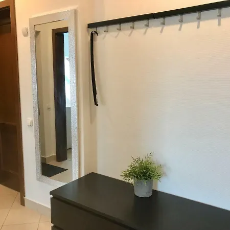 公寓 Party Zone Spacious Apt W Rooftop&geoterm A C 布达佩斯