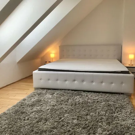 Party Zone Spacious Apt W Rooftop&geoterm A C *
